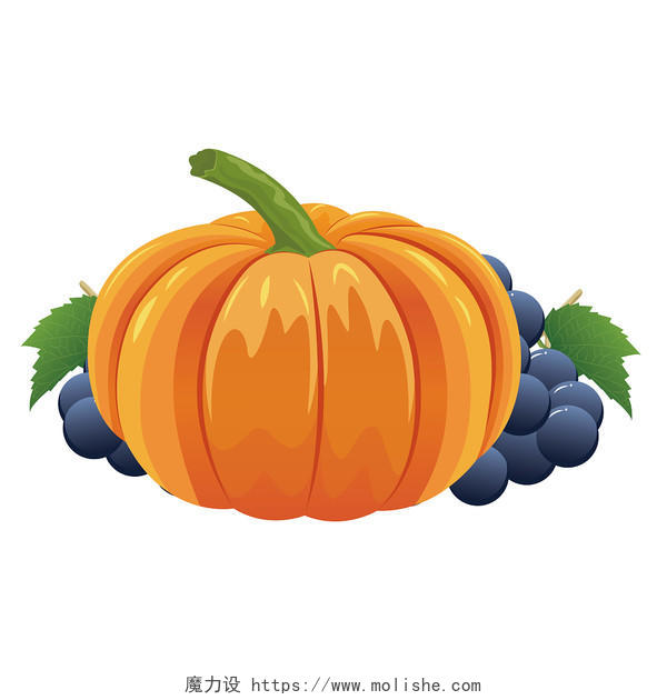 南瓜葡萄植物秋天万圣节卡通手绘插画矢量素材秋天南瓜